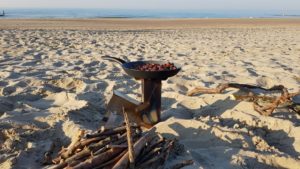 VIRE stove Rocket Stove mit Maronen